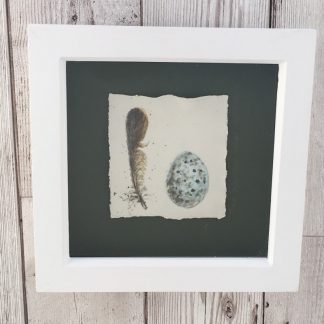Tree Sparrow egg & feather porcelain box frame